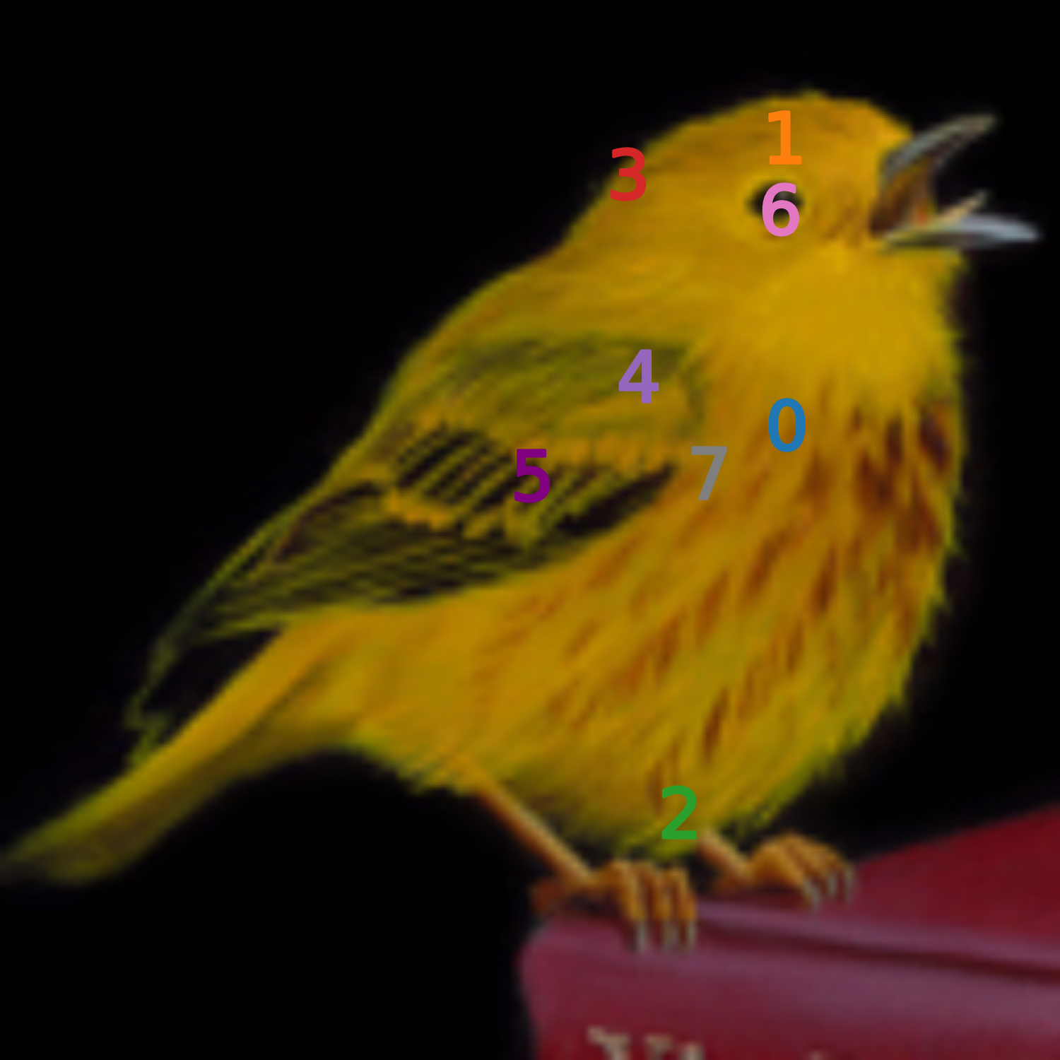 Image 2