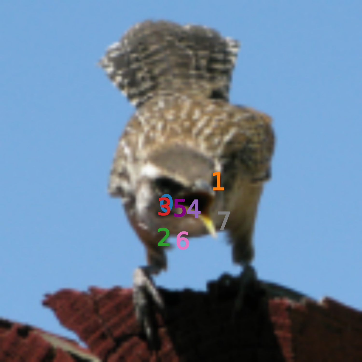 Image 2